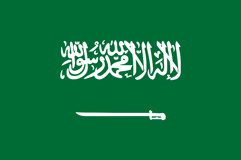 السعودية: تعليق الدراسة ابتداء من الغد حتى إشعار آخر