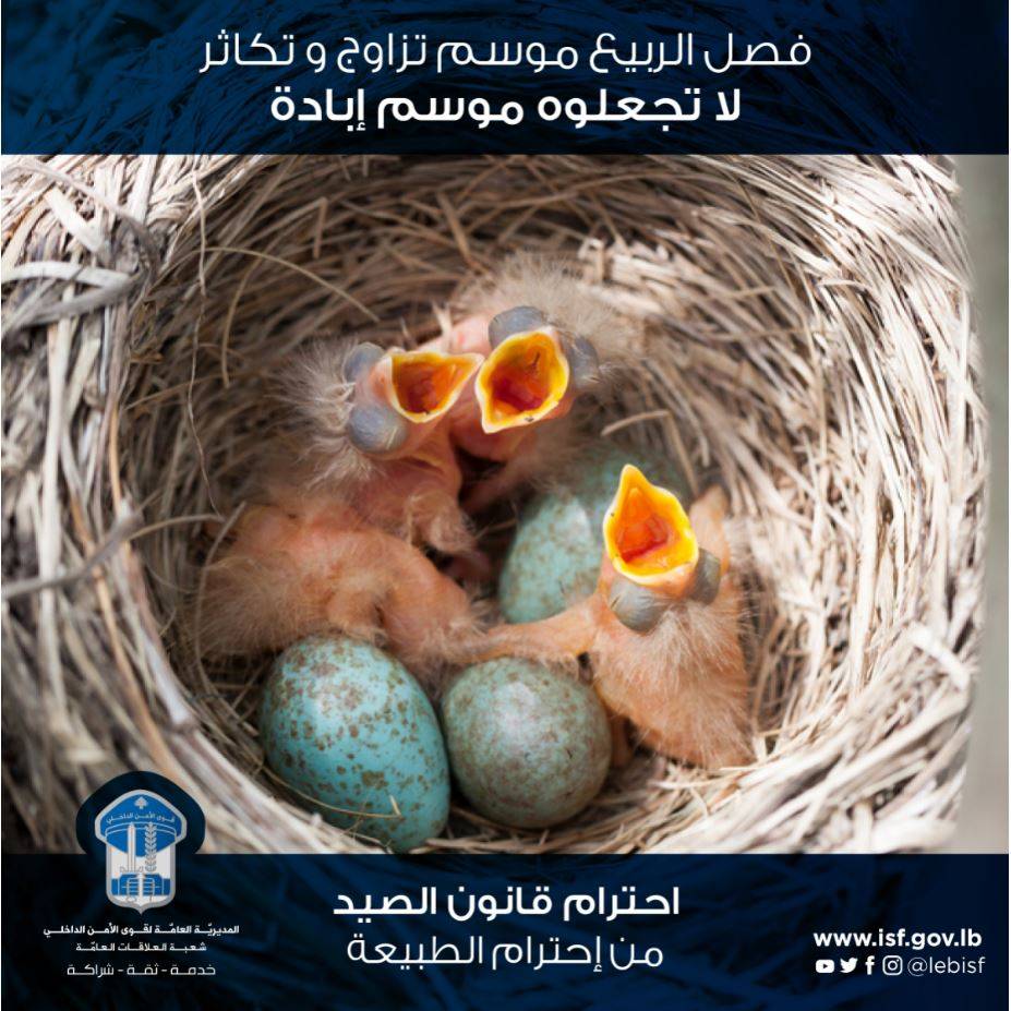 قوى الأمن تلاحق مخالفي قانون 