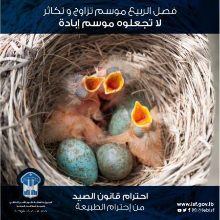 قوى الأمن تلاحق مخالفي قانون "الصيد البري"