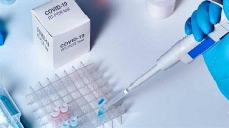 نتائج فحوصات الـpcr في "جديدة القيطع"سلبية