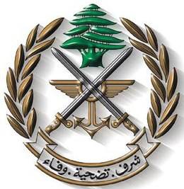 الجيش: زورق حربي معادٍ خرق المياه الاقليمية
