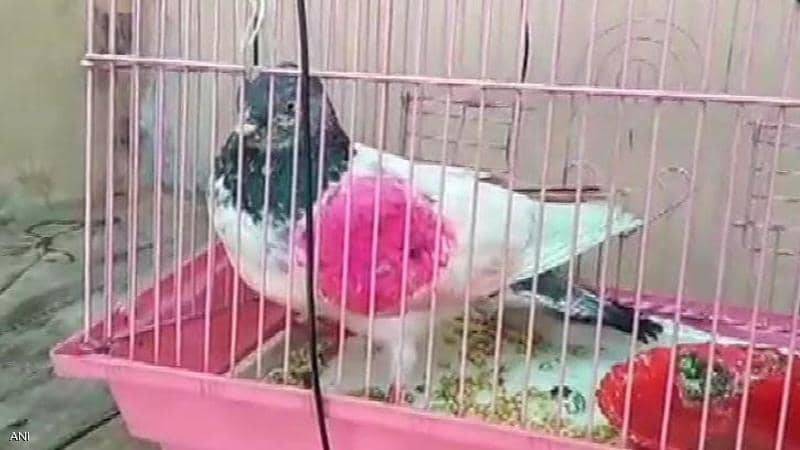 القبض على 