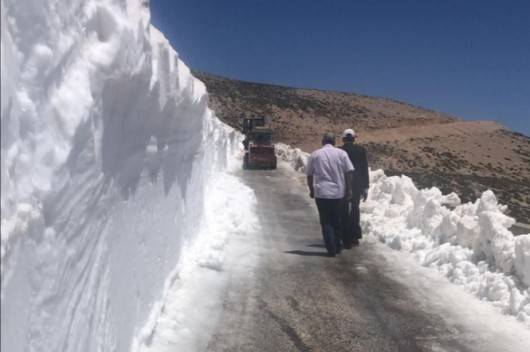 بعدما أقفلت بالثلج 6 أشهر .. فتح طريق عيناتا الأرز