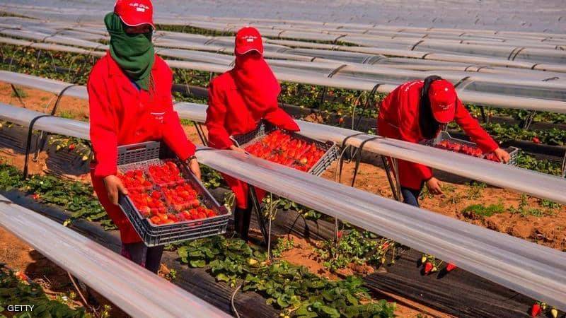 أعلى حصيلة كورونا يومية في المغرب والسبب..