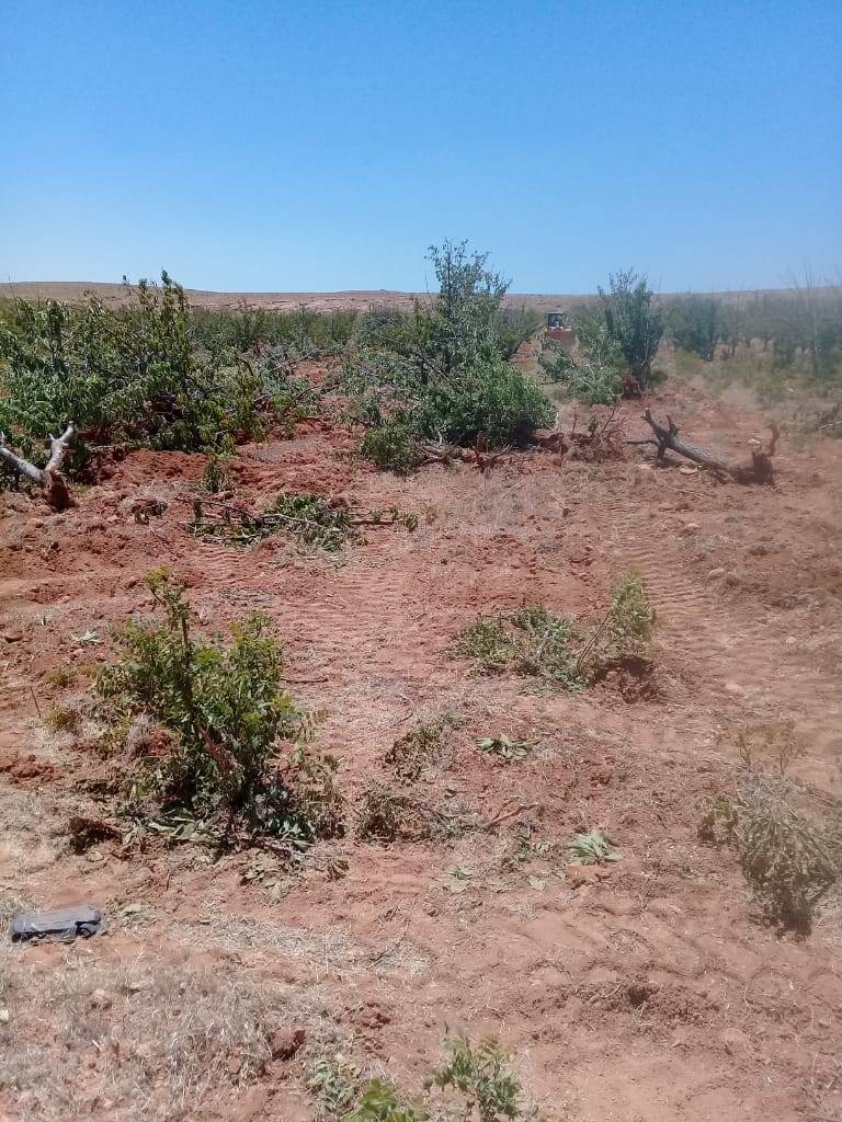 بالفيديو والصور: تجريف وتهجير لقرية الطفيل..نظام الأسد 
