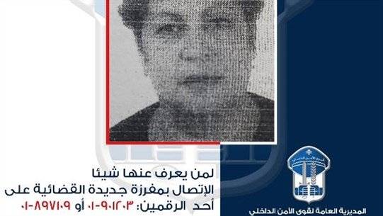 رسم شمسي لامرأة تقوم بأعمال 