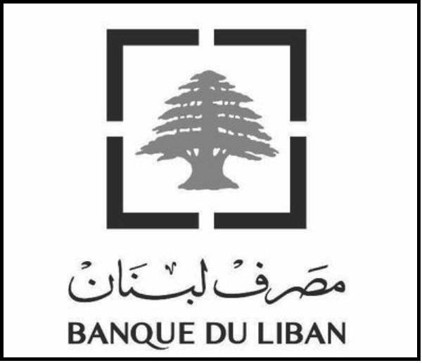 سعر التداول بالدولار عبر تطبيق Sayrafa