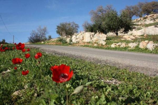 الحرارة إلى مزيد من الارتفاع.. نهاية الأسبوع