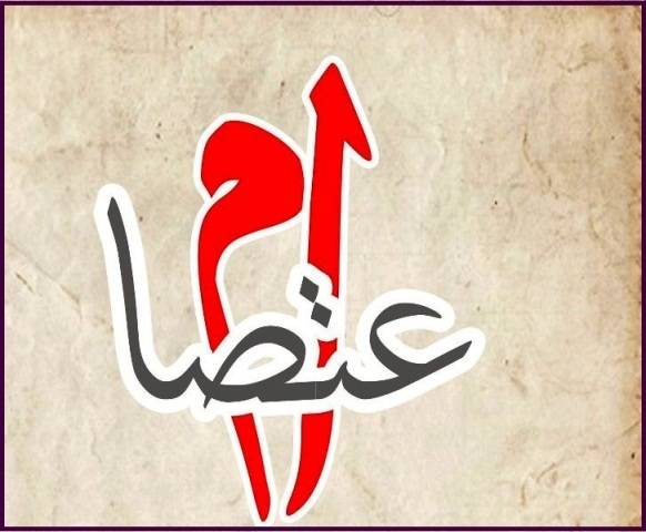 اعتصام لشباب الحراك في عكار احتجاجًا على مذكرة التوقيف في حق ناشطين