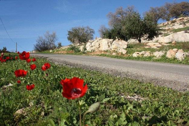 نهاية أسبوع محملة بأمطار خفيفة.. وانخفاض محدود بالحرارة