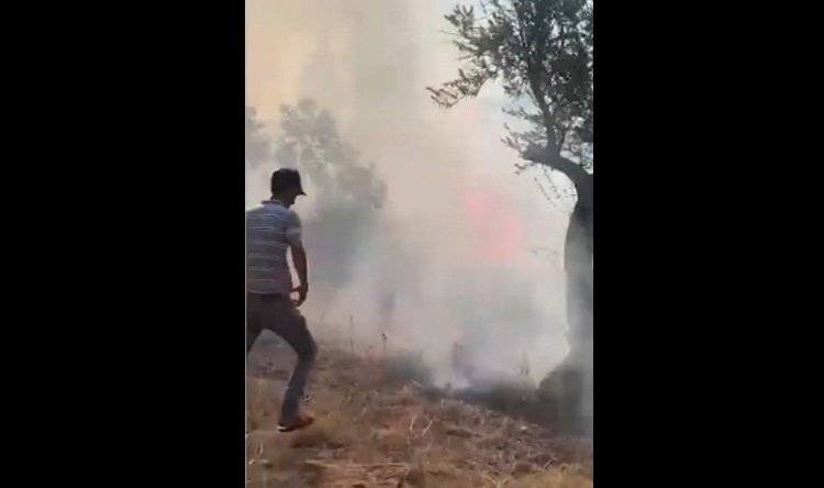 بالفيديو.. افتعال حرائق في أبي سمرا - طرابلس!