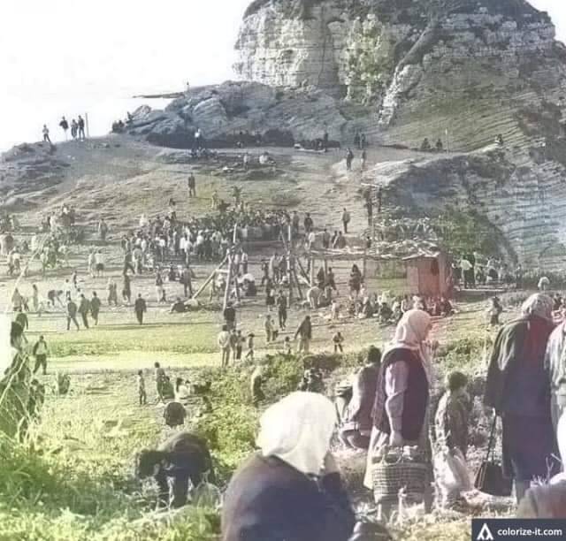 بالصورة: