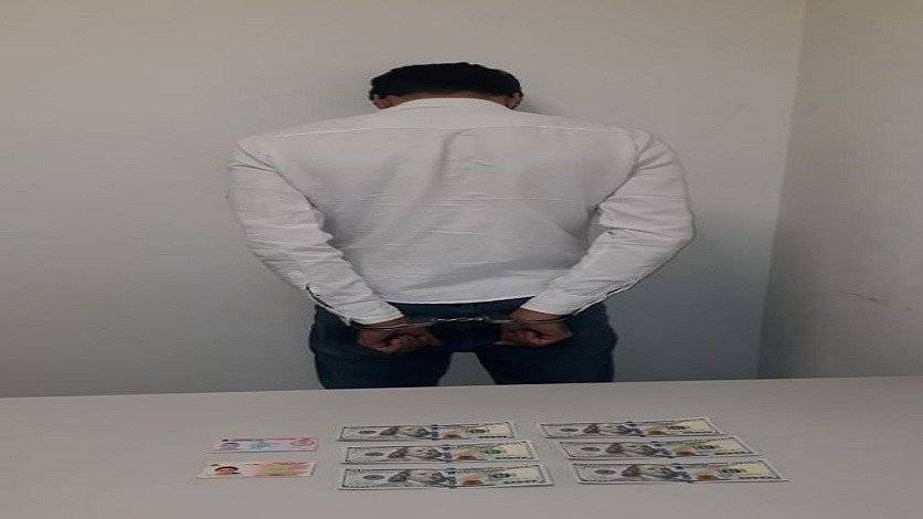 مروّج 