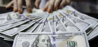 اليكم سعر