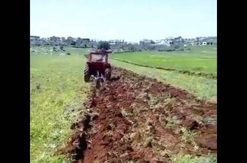 بالفيديو.. نشاط زراعي لـ