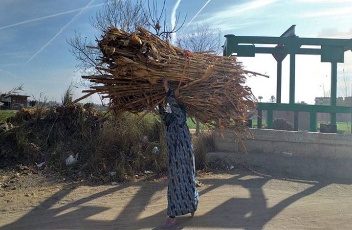 موسم زراعي 