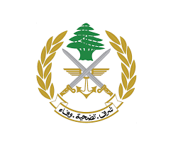 مداهمات وتوقيفات في بعلبك.. هذا ما تم ضبطه