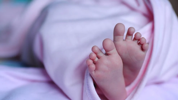 بعد العثور على طفل حديث الولادة ملقىً بجانب الطريق.. القاضي رمضان يوقف الأم والجدّة