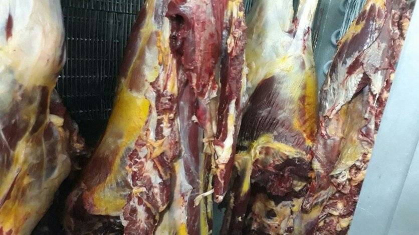 ضبط مستودع يوضب لحوماً فاسدة