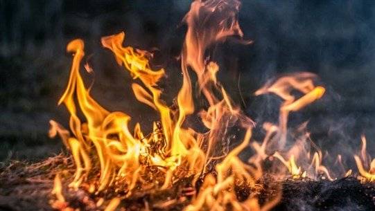 إخماد حريق في أحراج