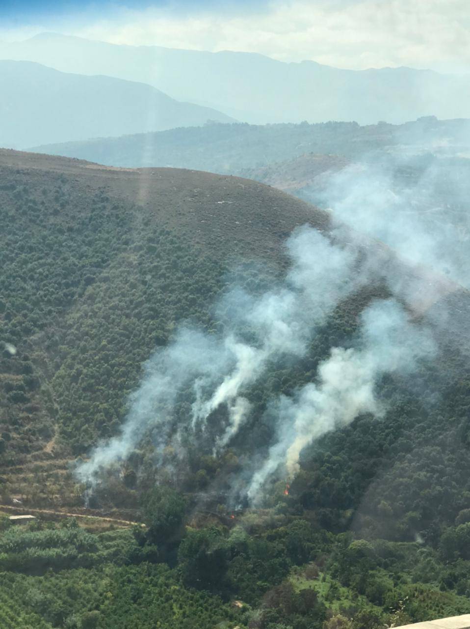 بالفيديو.. حريق كبير بين منطقة عيون السمك وبلدة جديدة القيطع