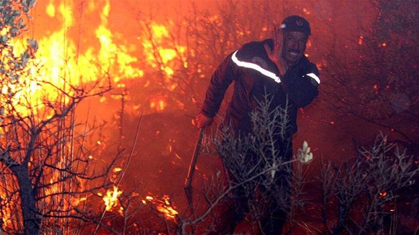 الجزائر.. اعتقال 30 شخصاً بقضية حرائق الغابات