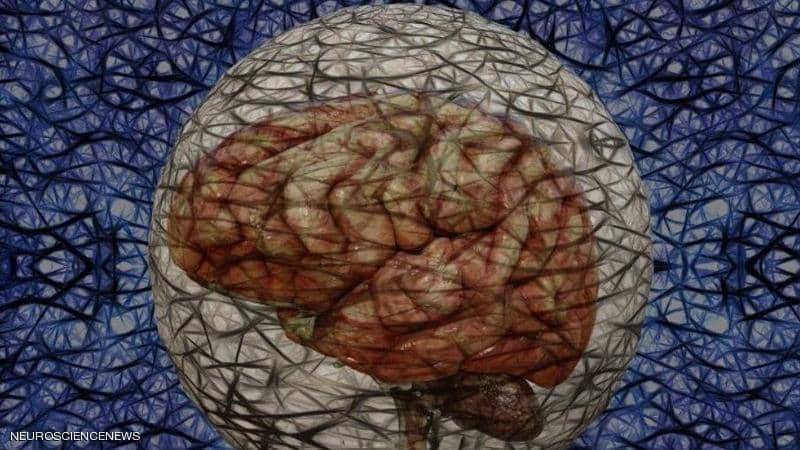 ما علاقة الكوليسترول بمرض الزهايمر؟