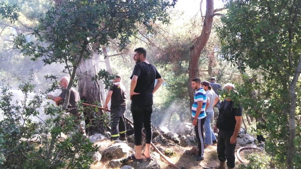 حريق في أحراج صنوبر