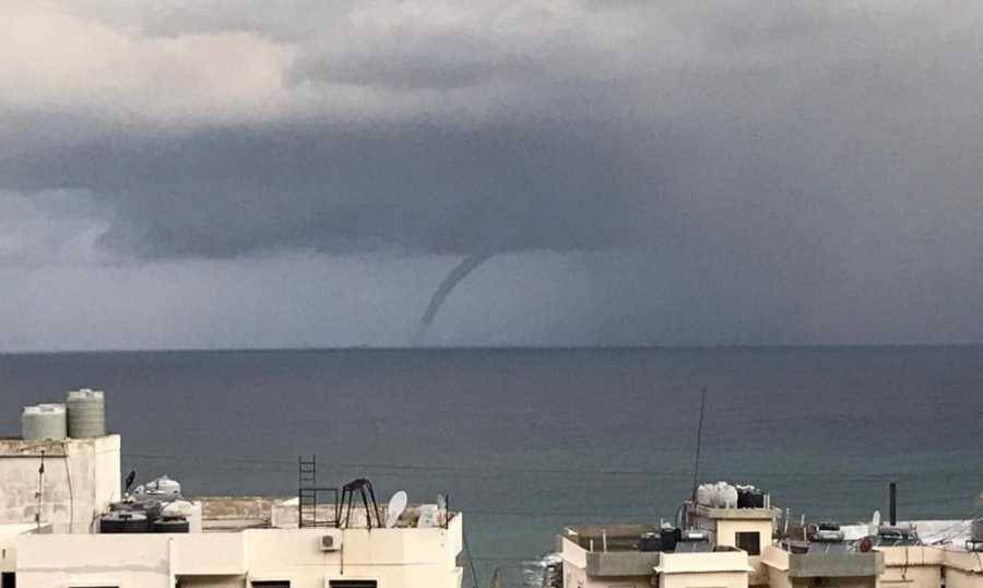 بالصور.. 