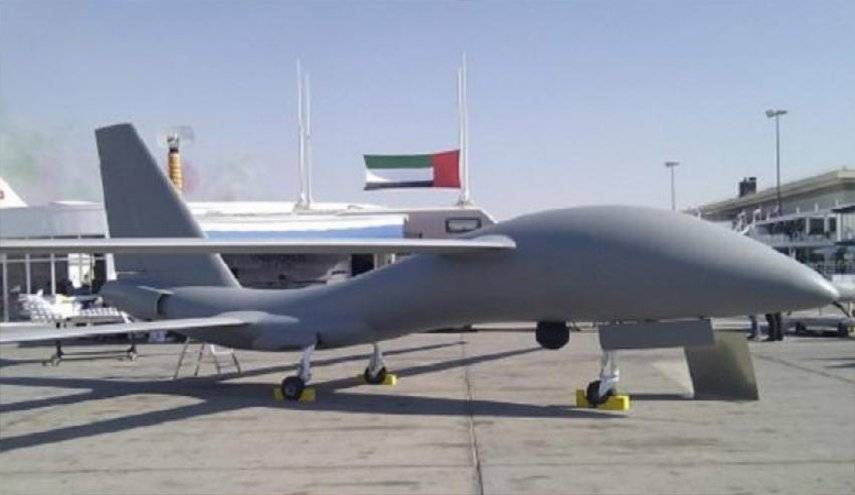 الإمارات تدعو الجيوش الحليفة لبناء 