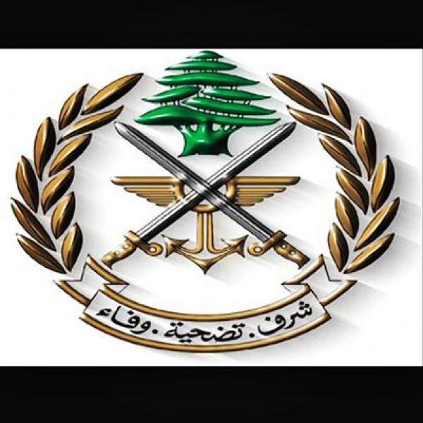 بالفيديو.. الجيش 