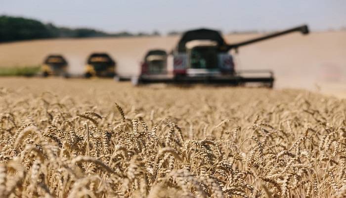 أوكرانيا تعد بتأمين مصادر جديدة للبنان للاستيراد