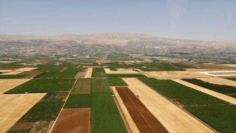 لبنان.. تعويض النقص في القمح بالزراعات المحلية