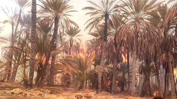 المغرب..حرائق الواحات تشتعل مجدداً ومخاوف من تداعيات اقتصادية