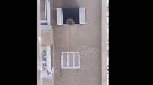 مأساة تهزّ مصر.. حرق أسرته وشقته وانتحر