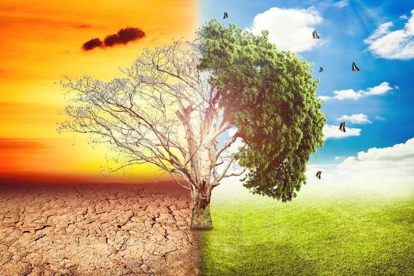 دراسة تدق ناقوس الخطر.. مزيد من الأمراض في المستقبل