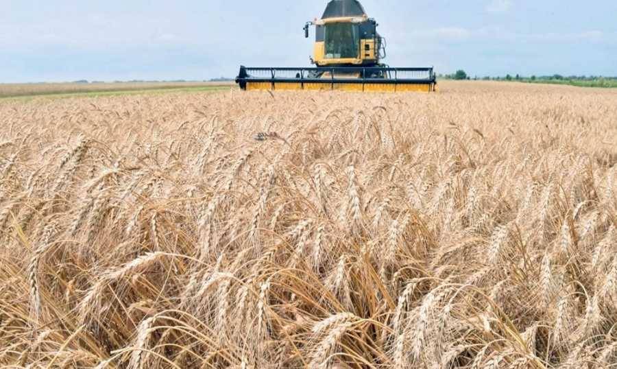 الحبوب والأسمدة.. مناورة بوتن الجديدة أمام عقوبات الغرب