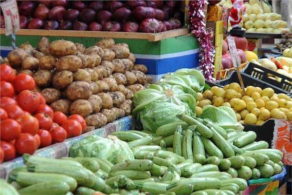 نقابة مستوردي الخضار: اضراب موظفي وزارة الزراعة يضرب الموسم