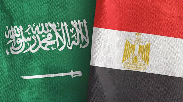 بيان سعودي مصري: الدعوة لوقف التدخلات الإقليمية في الشأن السوري التي تهدد وحدة البلاد
