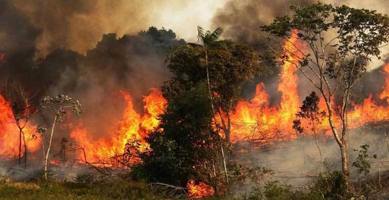 تفادياً لإندلاع الحرائق.. إرشادات من