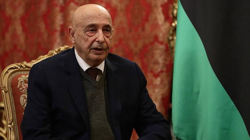 على طريق المصالحة الوطنية الليبية.. لقاء يجمع عقيلة صالح والمشري في جنيف
