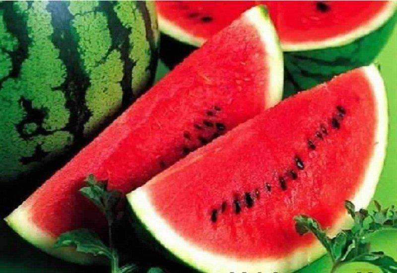 كيف تختار البطيخ بشكل صحيح؟