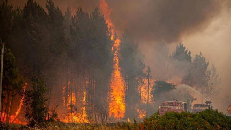 إجلاء 5 آلاف شخص من جنوب غرب فرنسا بسبب حرائق الغابات