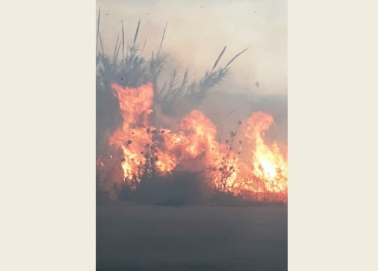 حريق ضخم في بسبينا بالبترون