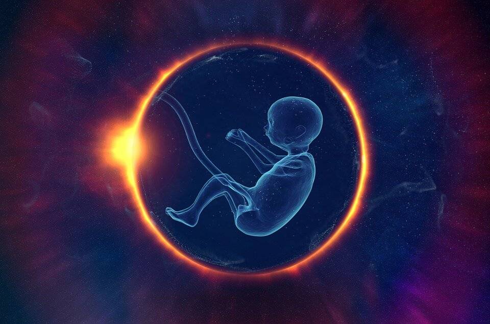 المولودون من أجنة مجمدة أكثر عرضة للإصابة بالسرطان