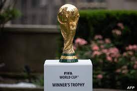 الكاميرون تتقدم على البرازيل 1-0