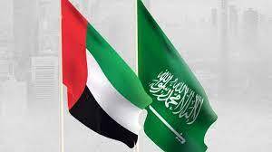 وزيرا خارجية الإمارات والسعودية يبحثان مسارات التعاون الخليجي والعربي المشتركة