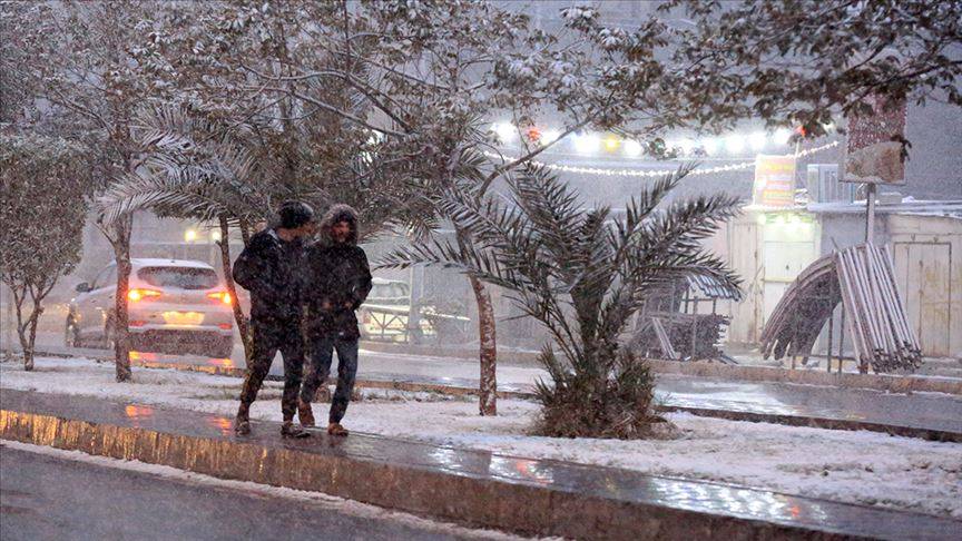 أمطار متفرقة في عدد من الدول العربية وثلوج خفيفة في السعودية