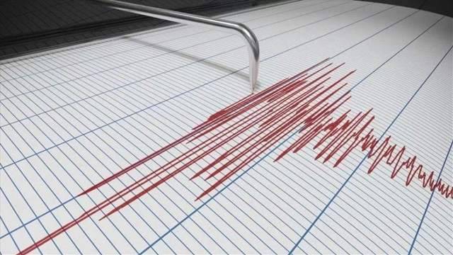 اللجنة الوطنية للجيوفيزياء: هزتان أرضيتان تضربان البحر مقابل مدينة صيدا في غضون 10 دقائق الأولى بقوة 3.5 والثانية بقوة 3.6