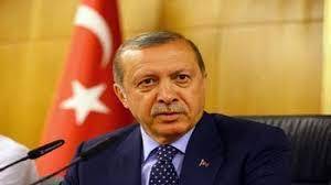أردوغان في اتصال مع زيلنسكي: مستعدون للإسهام في إنجاز وقف لإطلاق النار وحل لتحقيق السلام وإنهاء الحرب